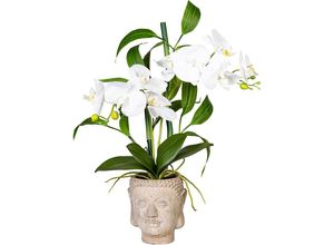 4064118076551 - Orchideen-Bambus Arrangement im Zementtopf Buddha weiß real touch Höhe ca 600 mm