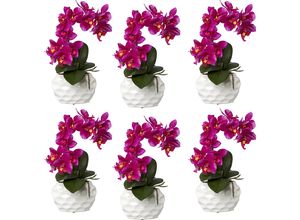 4064118889755 - Phalaenopsis real touch Höhe 330 mm VE 6 Stk Keramiktopf lila