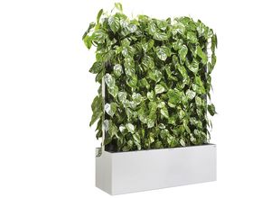 4060061965997 - Mobiles Heckenelement mit Philodendron Pflanzenwand weiß Standard HxBxT 1635 x 1200 x 400 mm