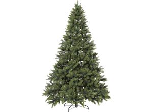 4003529807415 - Tannenbaum 1829 Spitzen Höhe 210 cm 4003529807415 - Tannenbaum 1829 Spitzen Höhe 210 cm