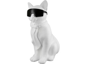 Image of Tierfigur CASABLANCA BY GILDE "Katze mit Brille Hero Cat" Dekofiguren Gr. B/H/T: 52 cm x 54 cm x 15 cm, schwarz-weiß (weiß, schwarz) Weihnachtsengel Weihnachtsfiguren