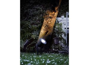 5701581326781 - 20789903 Spotlight Gartenstrahler LED Halogen GU10 35 W Schwarz