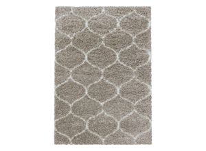 4058819099810 - Hochflor-Teppich AYYILDIZ TEPPICHE SALSA 3201 Teppiche Gr B L 280 cm x 370 cm 50 mm 1 St beige Orientalische Muster Wohnzimmer