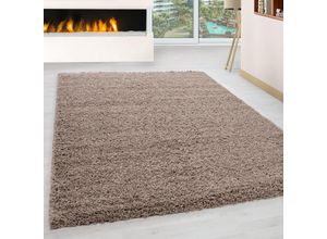 4053658986604 - Hochflor Teppich - Gemütlicher Langflor Pflegeleichter Shaggy Flokati