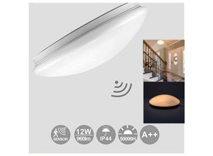 9460565046089 - LED Deckenleuchte Deckenlampe Wohn-Zimmer Badleuchte Wohnzimmer 12W Warmes Weiß - Weiß