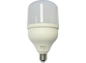 8430552163960 - Electro Dh - LED-Glühbirne E27 40W 230Vac 6500K T120