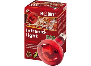 4011444375841 - Hobby - Infraredlight Eco Infrarot-Halogenstrahler - 70W