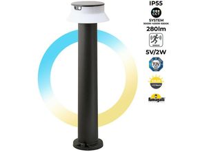 8031874239533 - Solar-LED-Poller FELICE 800 73cm mit PIR-Sensor - 3 Betriebsarten - CCT