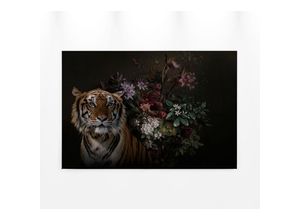 4059432205701 - Leinwandbild AS CRÉATION wildlife Bilder Gr B H 90 cm x 60 cm Tiere Querformat 1 St bunt (schwarz orange grün) Leinwandbilder Keilrahmen Bild Blumen Floral Rosen