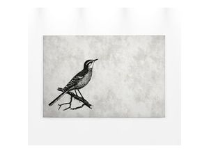 4059432205497 - Leinwandbild AS CRÉATION sketchpad 4 Bilder Gr B H 90 cm x 60 cm Vögel Querformat 1 St grau (grau schwarz) Leinwandbilder Schwarz-Weiß Zeichnung Vogel Keilrahmen Bild