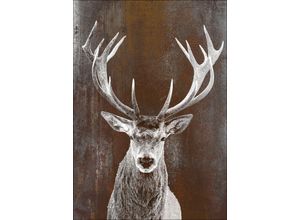 4019449472305 - PRO ART Aludibondbild BROWNDEER II (BHT 98x70x110 cm) BHT 98x70x110 cm bunt Alubild Metallbild