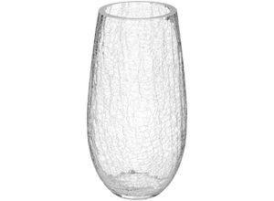 3560238673461 - Atmosphera - Gewölbte Vase - Craquelé-Glas - H27 cm Transparent