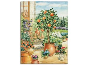 Image of Artland Wandbild Orangenbaum im Garten, Garten (1 St), als Alubild, Outdoorbild, Leinwandbild, Poster, Wandaufkleber, grün