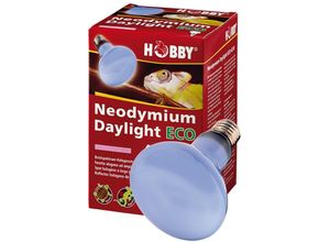 4011444375520 - Hobby - Neodymium Daylight Eco Tageslicht-Halogenstrahler - 42W