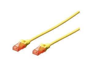 4016032372035 - DK-1612-030 Y RJ45 Netzwerkkabel Patchkabel cat 6 u utp 300 m Gelb verdrillte Paare 1 St - Digitus