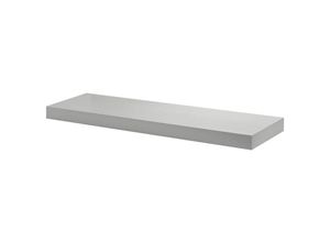 4007557020518 - Dolle Wohnregale - Dolle Regalboden Big Boy 90 x 25 cm 50 mm silber Regalböden