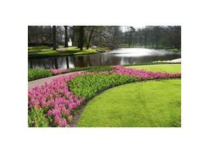 4260439520128 - Premiumgarden - Premium Garden Wurzelsperre für Rasenkanten 10 m x 20 cm Gartenfolien