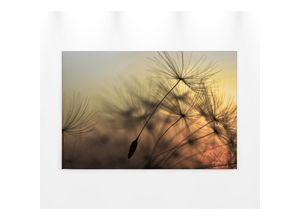 4059432204681 - Leinwandbild AS CRÉATION Flying Dandelion Bilder Gr B H 90 cm x 60 cm Querformat 1 St bunt (orange gelb schwarz) Leinwandbilder Pusteblume Keilrahmen