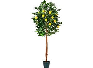 4048821005169 - Plantasia - Zitronenbaum Kunstpflanze Kunstbaum 180cm