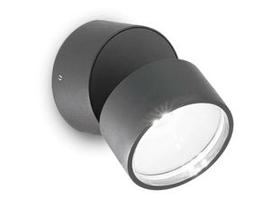 8021696285467 - Ideal Lux Lighting - Ideal Lux omega Runder Einzelstrahler Anthrazit IP54 4000K