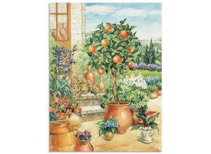 Image of Wandbild ARTLAND "Orangenbaum im Garten" Bilder Gr. B/H: 90 cm x 120 cm, Alu-Dibond-Druck Garten, 1 St., grün Kunstdrucke