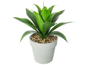 3560239698951 - Atmosphera - Künstliche Aloe Vera H34 cm créateur dintérieur