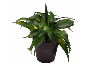 4250407315740 - Buri - Künstliche Aloe Vera 18cm im Blumentopf Kunstpflanze Zimmerpflanze Dekopflanze