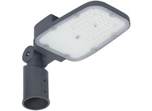 4099854030291 - LEDVANCE AREA LED-Straßenleuchte 30W 3900Lm 3000K 58 x 160º IP66