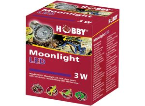 4011444375957 - Hobby Moonlight LED - Mondlicht Strahler 1 St