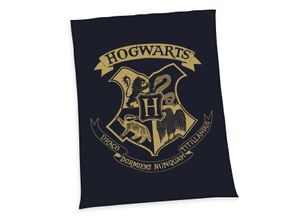 4006891960450 - Harry Potter Wellsoft-Flauschdecke Größe 150 x 200 cm