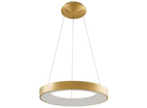 5900644311720 - Italux Lighting - Italux Giulia - Moderner LED-hängender Anhänger gebürstetes Gold warmweiß 3000K 2200lm