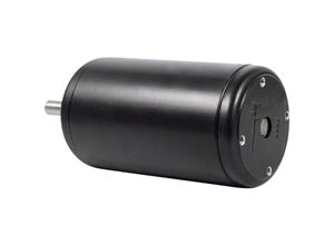 4016138369656 - Gleichstrommotor Typ 169 DO 16941132B09   3060 12 V 16 A 04 Nm 3200 U min Wellen-Durchmesser 10 mm 1 St