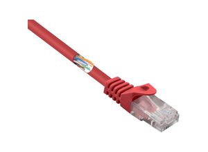 4064161087344 - ROT - Basetech BT-2272248 RJ45 Netzwerkkabel Patchkabel cat 5e u utp 100 m mit Rastnasenschutz 1 St