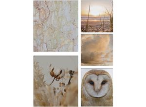 5011583536720 - Leinwandbild ART FOR THE HOME Set Natur Bilder Gr B H T 60 cm x 80 cm x 25 cm Leinwandbild 5 St bunt (mehrfarbig) Leinwandbilder