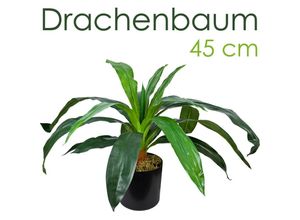 4260360529498 - Drachenbaum Künstlich Kunstbaum Kunstpflanze Kunstbaum Künstliche Pflanze Künstlicher Baum Deko Innendekoration 45 cm Decovego 4260360529498 - Drachenbaum Künstlich Kunstbaum Kunstpflanze Kunstbaum Künstliche Pflanze Künstlicher Baum Deko Innendekoration 45 cm Decovego