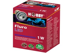 4011444376008 - Hobby Fluro LED - Fluoreszierendes Nachtlicht 1 St