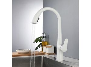 8131010854085 - Petites Ecrevisses - Wasserhahn Küche Ausziehbar Einhand Mischbatterie 360° Drehbar Modern Spültischarmatur für Küche mit 2 Strahlarten Weiß