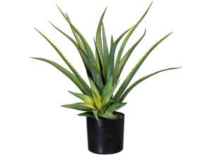 4064118137191 - Künstliche Zimmerpflanze CREATIV GREEN Deko-Sukkulente Aloe Kunstpflanzen Gr B H L 16 cm x 48 cm x 16 cm 1 St grün Künstliche Zimmerpflanzen