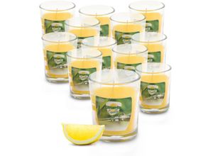 4069055000720 - Spetebo - Citronella Duft Kerze im Glas 6 x 5 cm - 12 Stück - Duftlicht mit Zitronen Aroma - Garten Balkon Camping Bistro Licht