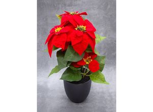 4262371537325 - Spetebo - Künstlicher Weihnachtsstern im schwarzen Topf - 40 cm - Kunstblume Poinsettia in naturgetreuer Nachbildung