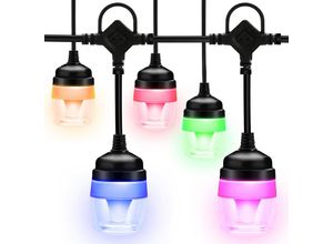 0726506020884 - Tolletour - Lichterkette Glühbirnen 12 led Birnen 116M Lichterkette dimmbar für Weihnachten warmweiße led Lichterketten für Garten Balkon Camping