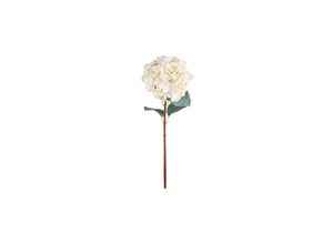 5712750305360 - Chic Antique Fleur Kunstblume Hortensie mit Blatt L80 cm creme