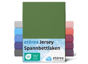 4055971101931 - Etérea - Comfort Jersey Spannbettlaken Kaktus 180x200 cm - 200x200 cm - Kaktus