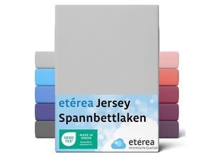 4055971082216 - Etérea - Comfort Jersey Spannbettlaken Silber 180x200 cm - 200x200 cm - Silber