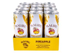 4005971391696 - Pineapple Mixgetränk 100 % vol 025 Liter 12er Pack