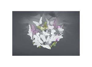 8055303887072 - Iperbriko - Butterfly Deckenleuchte 3xG9 Chrom Multicolor Schmetterlinge Ø45 cm Trio Lighting