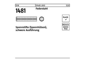 4043952369517 - Spannstift DIN 1481 6x 40 Federstahl schwere Ausführung 250 Stück