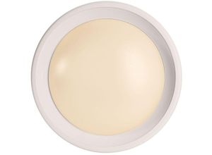 4042943141057 - Deko-light - Wandaufbauleuchte Cancri i 220-240V AC 50-60Hz - white