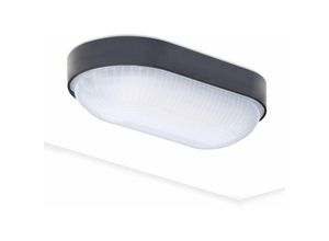 Image of LED-Deckenleuchte für den Keller ovale Lampe Beleuchtung 4000K 800lm neutrales Weiß für den Keller Deckenlampe Feuchtigkeitsbeständige Lampe