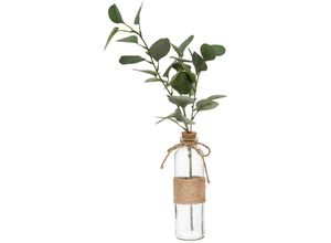 3560238705704 - Atmosphera - Künstlicher Eukalyptus - Glasvase - H45 cm Transparent